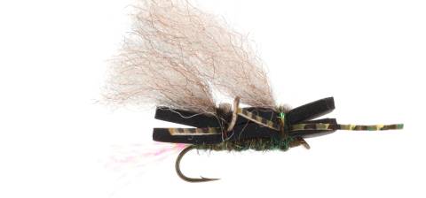 Double Chubby Chernobyl Peacock Mottled Wing